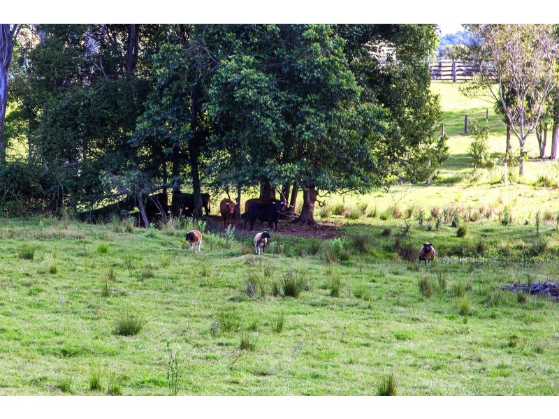 Eerwah Vale QLD 4562