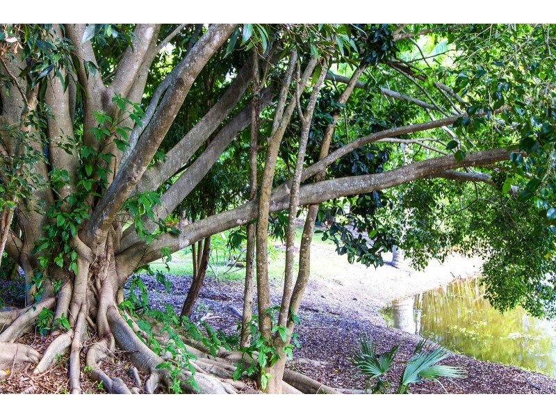 Eerwah Vale QLD 4562