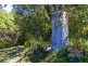 17 Babbling Brook Pl, Eumundi QLD 4562