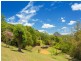 Black Mountain QLD 4563