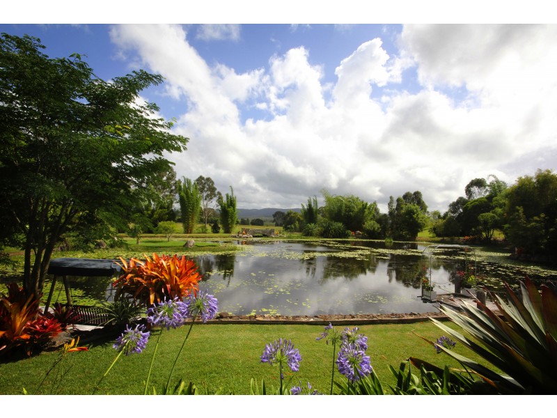 4 Flindersia Dr, Traveston QLD 4570