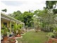 Eumundi QLD 4562