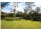 Eumundi QLD 4562