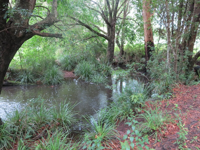 1-21 Lockes Lane, Belli Park QLD 4562