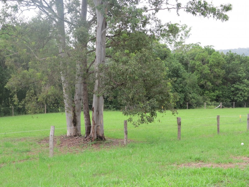 1-21 Lockes Lane, Belli Park QLD 4562