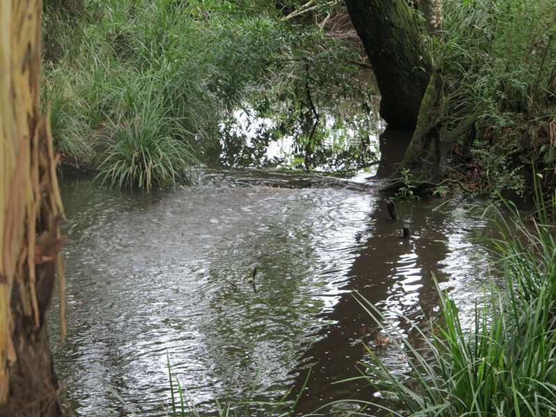 1-21 Lockes Lane, Belli Park QLD 4562