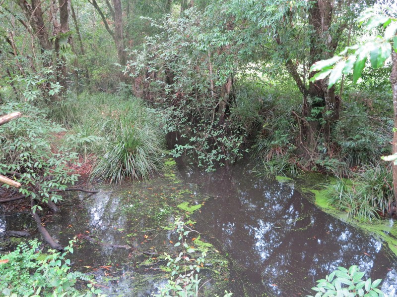 1-21 Lockes Lane, Belli Park QLD 4562