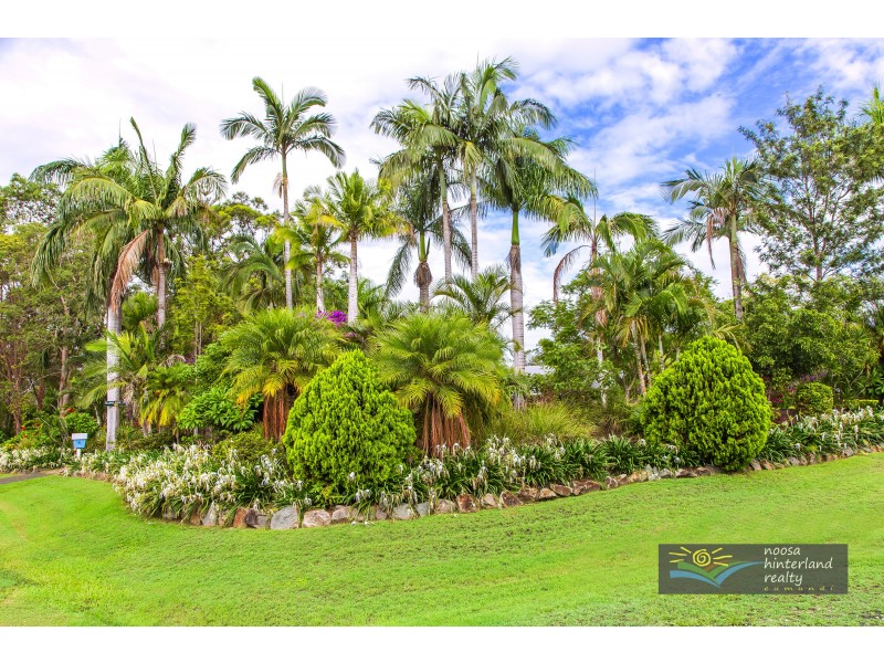 6 Morrell Ct, Doonan QLD 4562