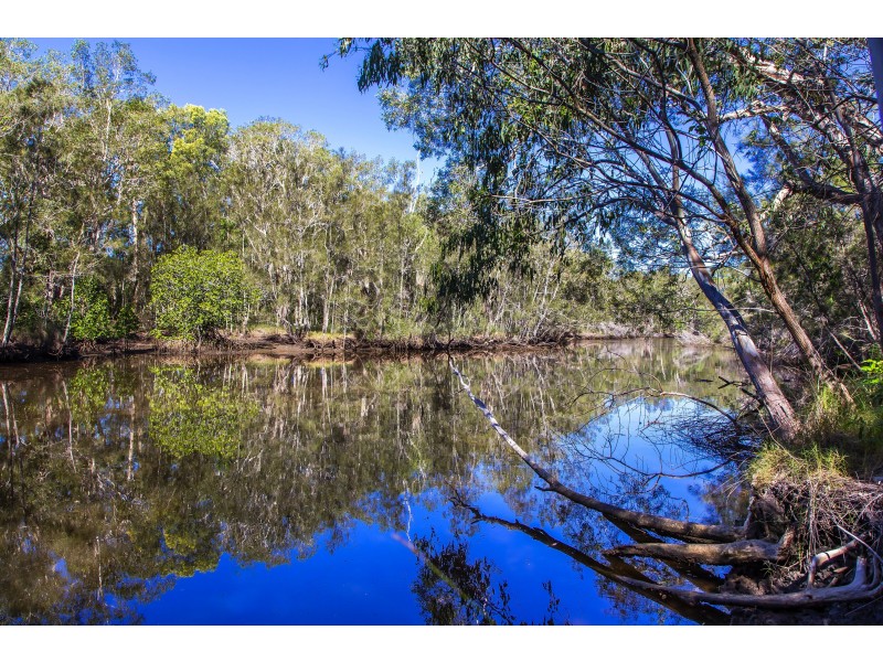 35 Sycamore Dr, Currimundi QLD 4551