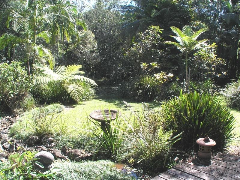 49 Dunning Street, Palmwoods QLD 4555