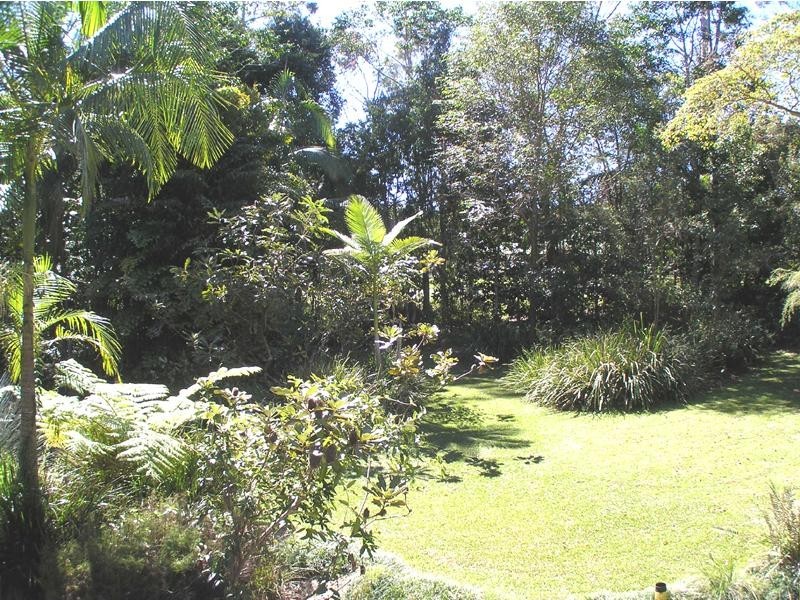 49 Dunning Street, Palmwoods QLD 4555
