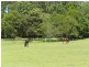 288 Old Palmwoods Road, Palmwoods QLD 4555