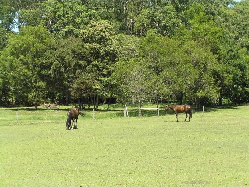 288 Old Palmwoods Road, Palmwoods QLD 4555