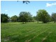288 Old Palmwoods Road, Palmwoods QLD 4555