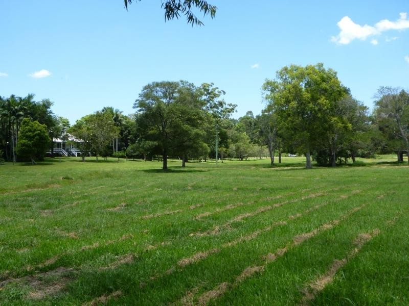 288 Old Palmwoods Road, Palmwoods QLD 4555