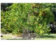 301 Palmwoods Montville Road, Palmwoods QLD 4555