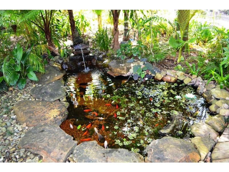 301 Palmwoods Montville Road, Palmwoods QLD 4555