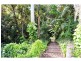 301 Palmwoods Montville Road, Palmwoods QLD 4555