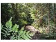 301 Palmwoods Montville Road, Palmwoods QLD 4555