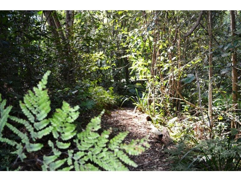 301 Palmwoods Montville Road, Palmwoods QLD 4555