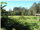 50 Hardings Road, Palmwoods QLD 4555