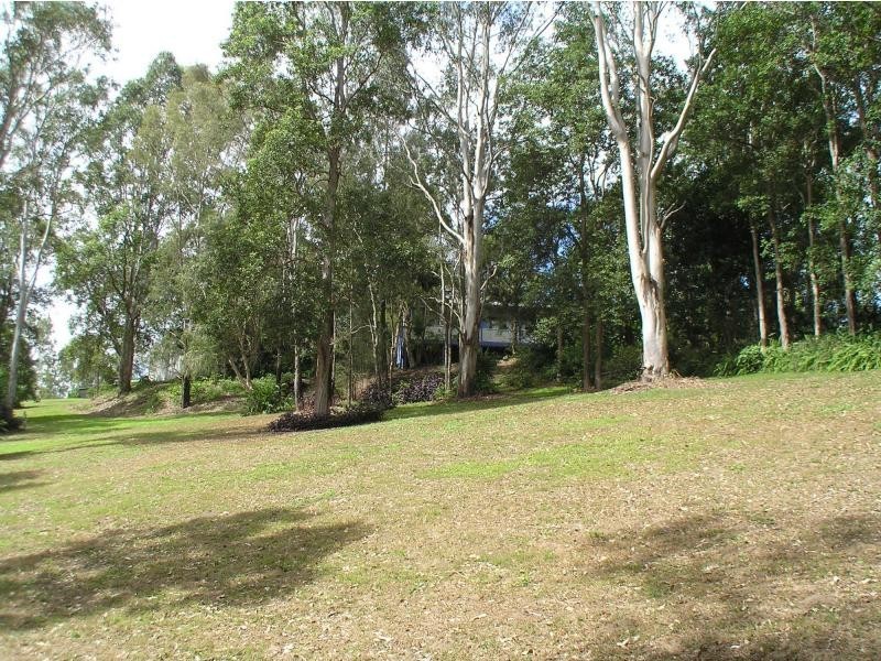 Conondale QLD 4552