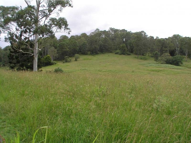 Conondale QLD 4552