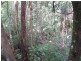 42 Cardinal Court, Palmwoods QLD 4555