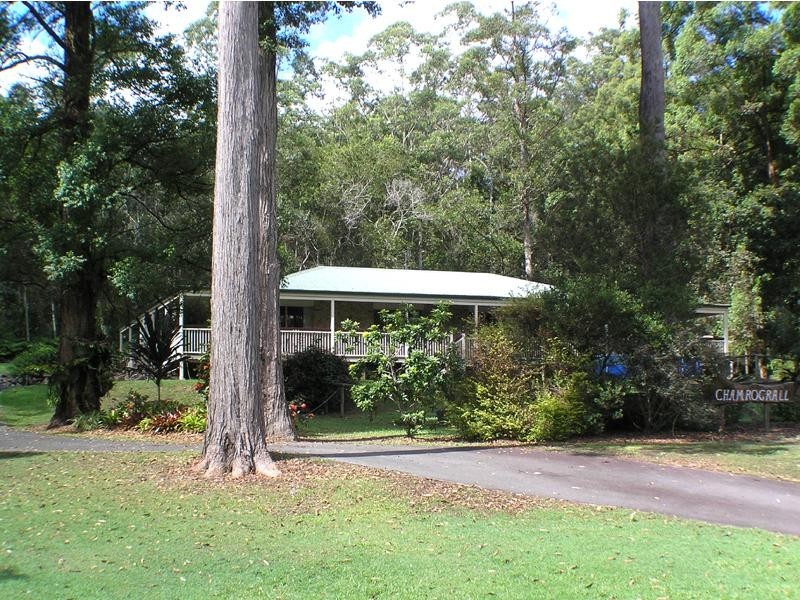 42 Cardinal Court, Palmwoods QLD 4555