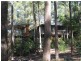 104 Chevallum Road, Palmwoods QLD 4555