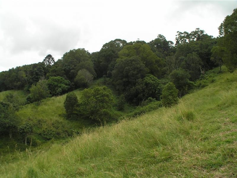 Towen Mountain QLD 4560