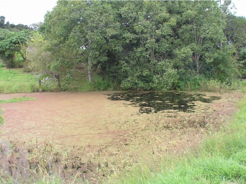 Towen Mountain QLD 4560