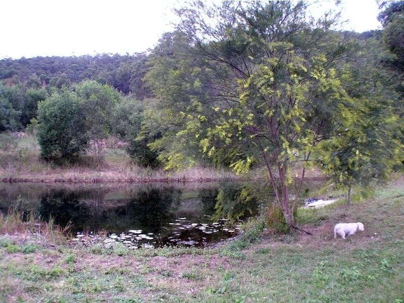 Cambroon QLD 4552