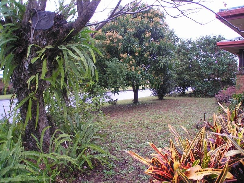14 Robert Street, Palmwoods QLD 4555
