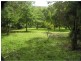 Mooloolah Valley QLD 4553