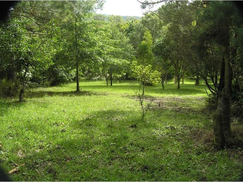 Mooloolah Valley QLD 4553