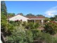 3 Diedrichs Court, Palmwoods QLD 4555