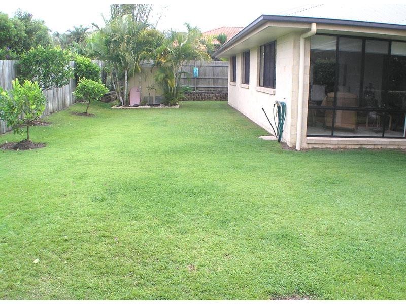 10 Picca Place, Palmwoods QLD 4555