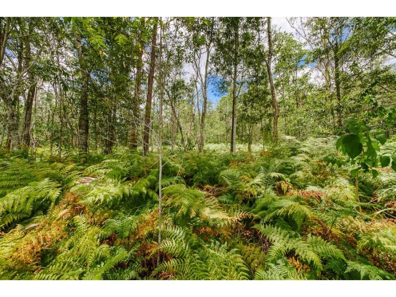 42-48 CARDINAL Court, Palmwoods QLD 4555