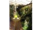 Palmwoods QLD 4555