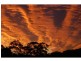 Woombye QLD 4559