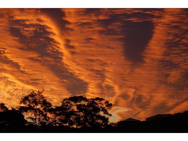 Woombye QLD 4559