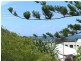 19 Piper Street, Peregian Beach QLD 4573