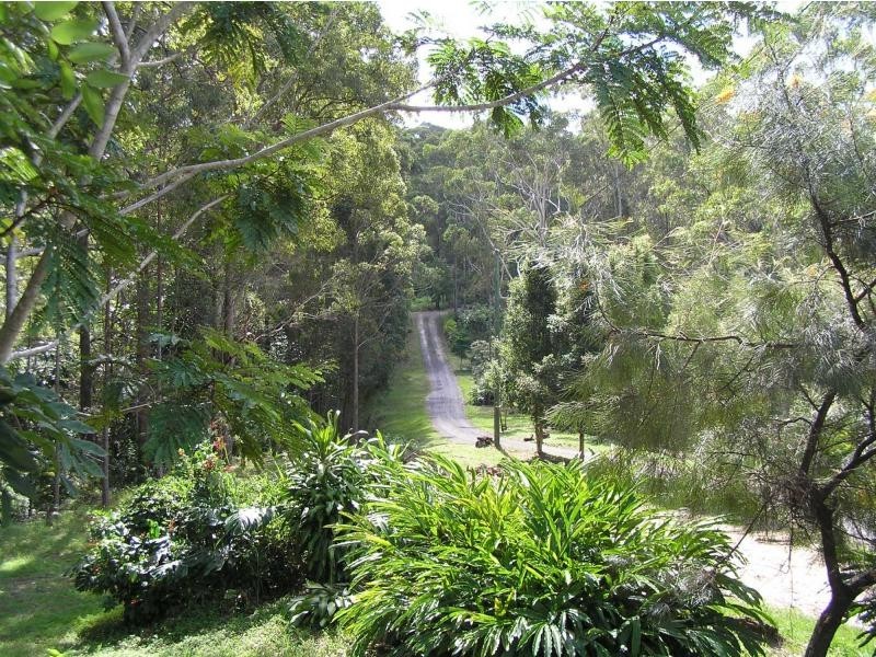 44 Houghtons Road, Palmwoods QLD 4555