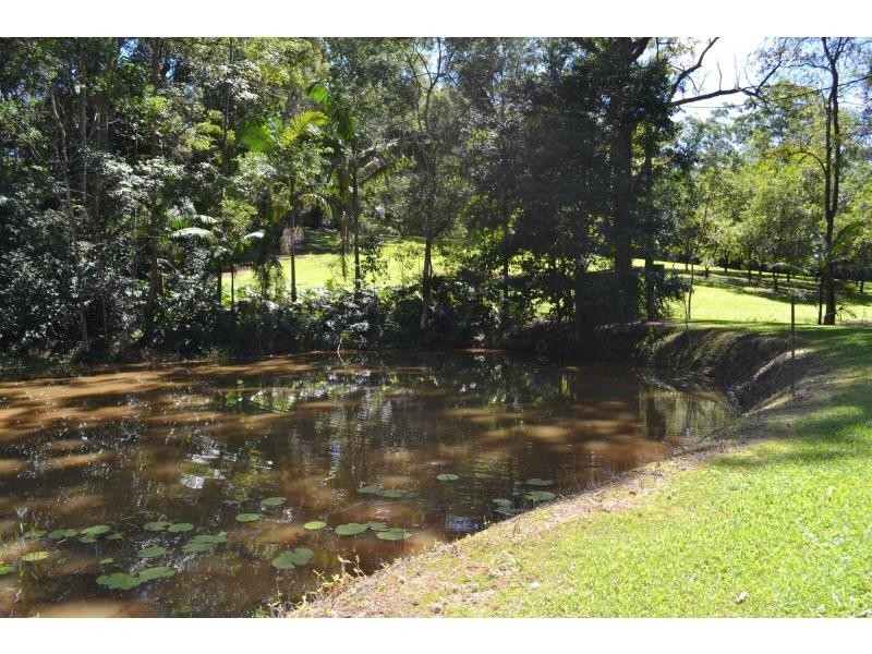 186 Old Palmwoods Road, Woombye QLD 4559