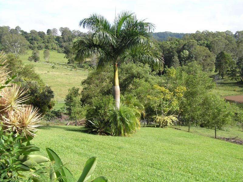 83 Simba Road, Woombye QLD 4559