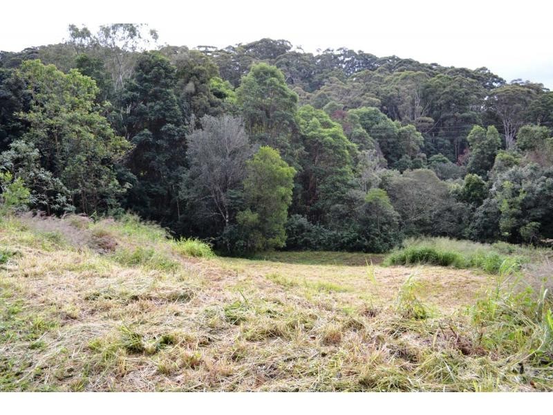 145 Kirbys Road, Palmwoods QLD 4555