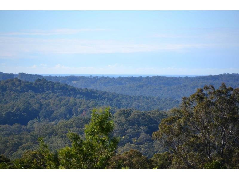 145 Kirbys Road, Palmwoods QLD 4555
