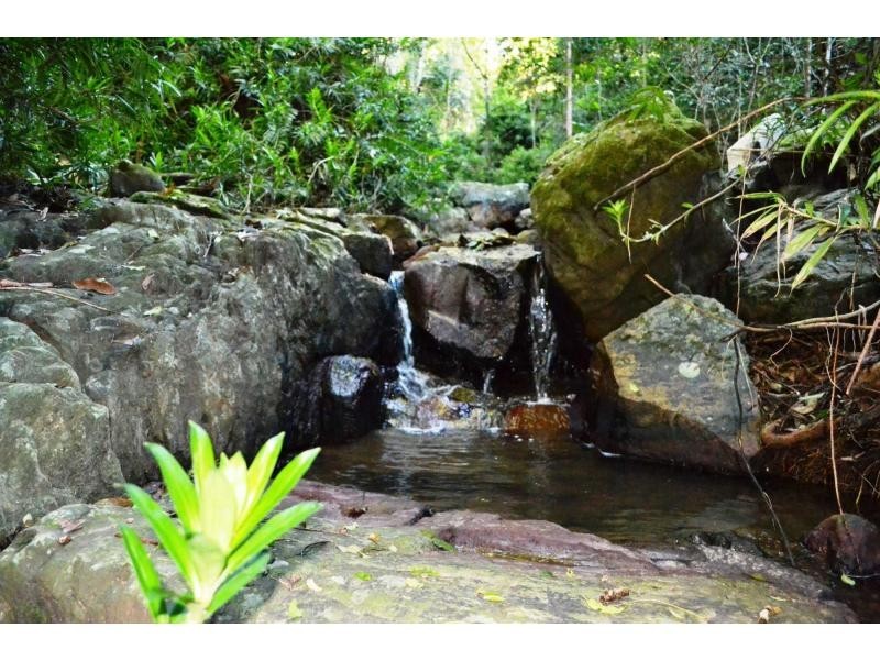 145 Kirbys Road, Palmwoods QLD 4555