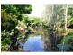 118 OLD PALMWOODS Road, Woombye QLD 4559